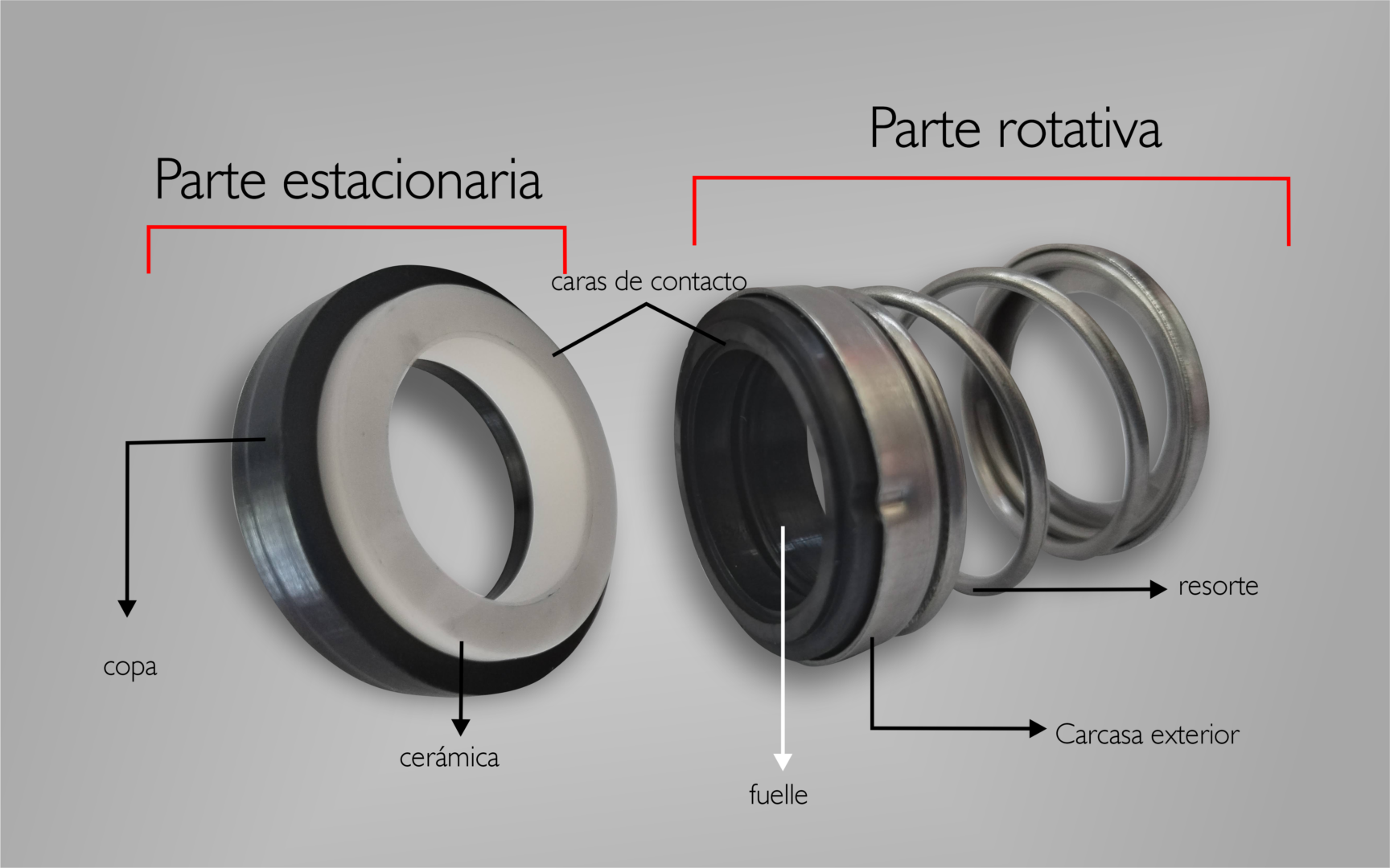 Sellos Mecánicos: Qué Son Y Tipos • BANDAS Y MAS